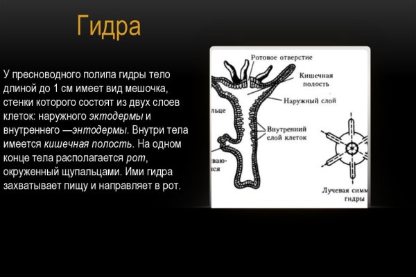 Кракен как зайти