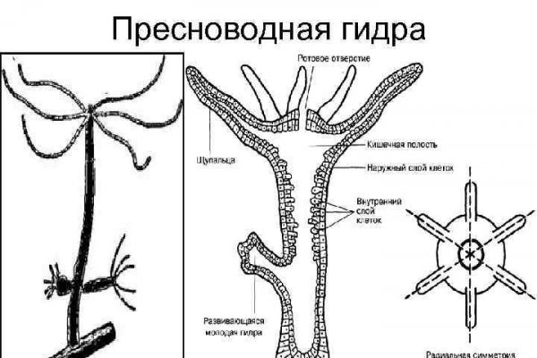 Что такое кракен 2024 маркетплейс